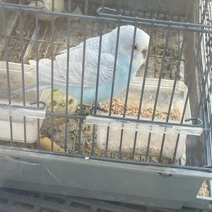 Meet your Posher, Aimee